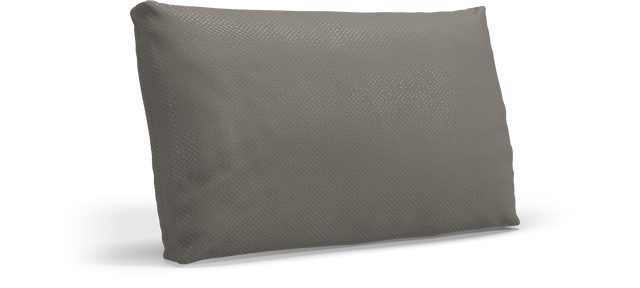 CUSHION Rectangular Scatter Cushion Extra Large