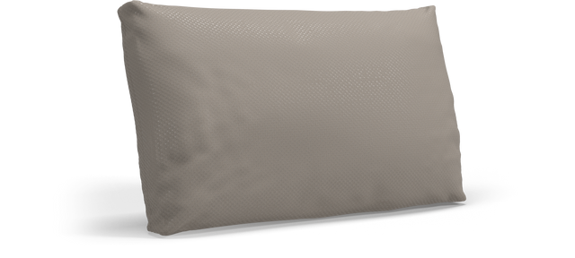 CUSHION Rectangular Scatter Cushion Extra Large