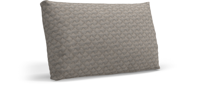 CUSHION Rectangular Scatter Cushion Extra Large