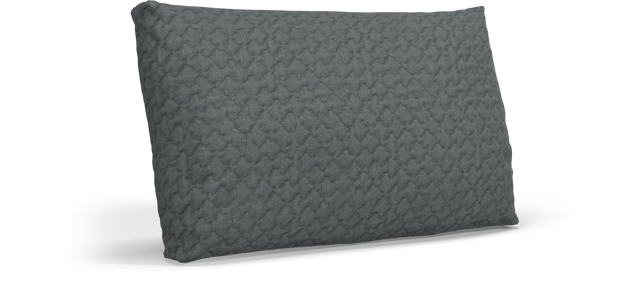 CUSHION Rectangular Scatter Cushion Extra Large