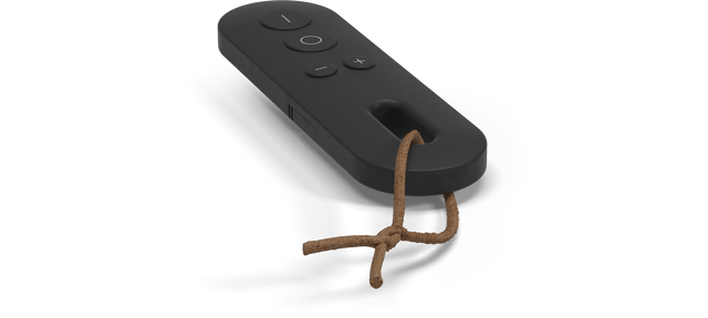 Additional Remote Control