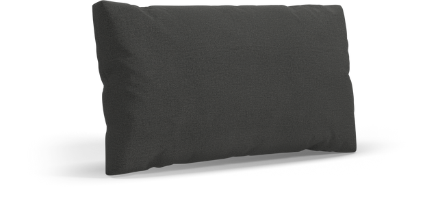 CUSHION Rectangular Scatter Cushion Large