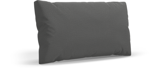 CUSHION Rectangular Scatter Cushion Large