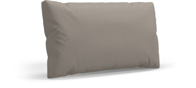 CUSHION Rectangular Scatter Cushion Large