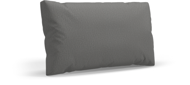 CUSHION Rectangular Scatter Cushion Large