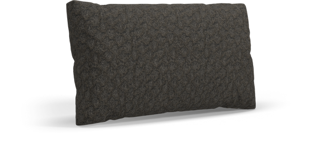 CUSHION Rectangular Scatter Cushion Large