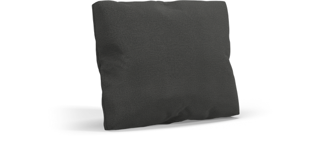 CUSHION Rectangular Scatter Cushion Small