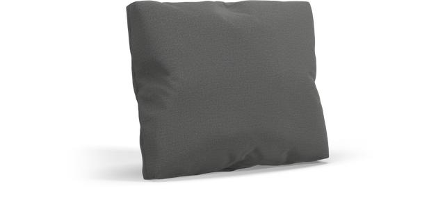 CUSHION Rectangular Scatter Cushion Small