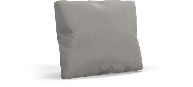 CUSHION Rectangular Scatter Cushion Small